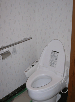 トイレ　アクセントクロス